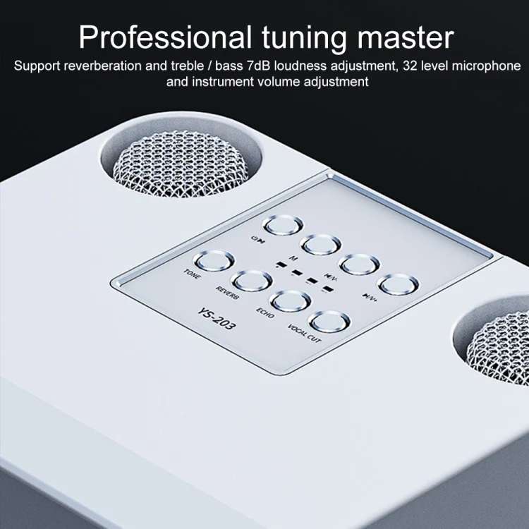 YS-203 Portable Mini Wireless Bluetooth Speaker With 2 Karaoke Microphone