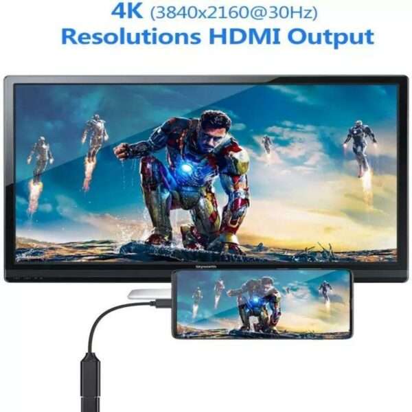 SE-LT25 Type C To HDMI Female Cable