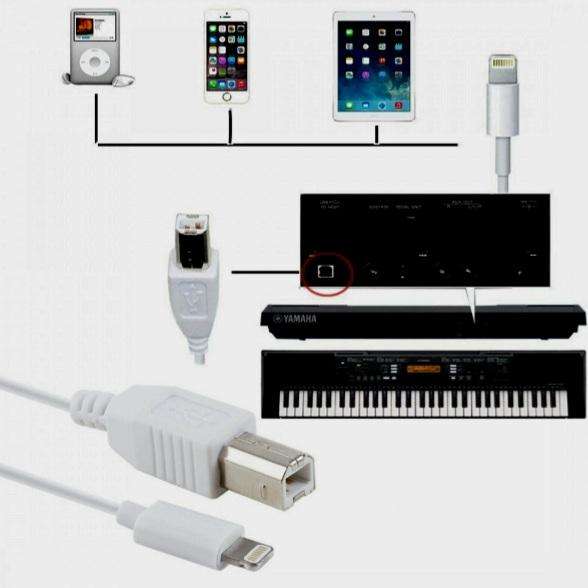 SE-L31 Lightning to USB 2.0 B (Printer Cable) Interface Data Transmission Connector 1M