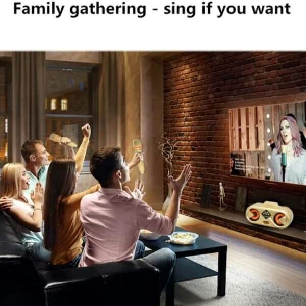 XF0315 Wireless Bluetooth Karaoke Speaker SD303