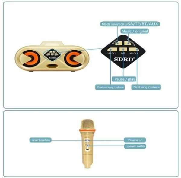 XF0315 Wireless Bluetooth Karaoke Speaker SD303