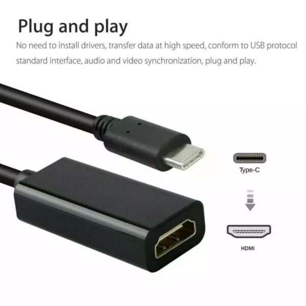 SE-LT25 Type C To HDMI Female Cable