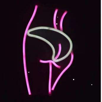FA-A61 Lady's Behind Silhouette Neon Sign USB And Battery Operated