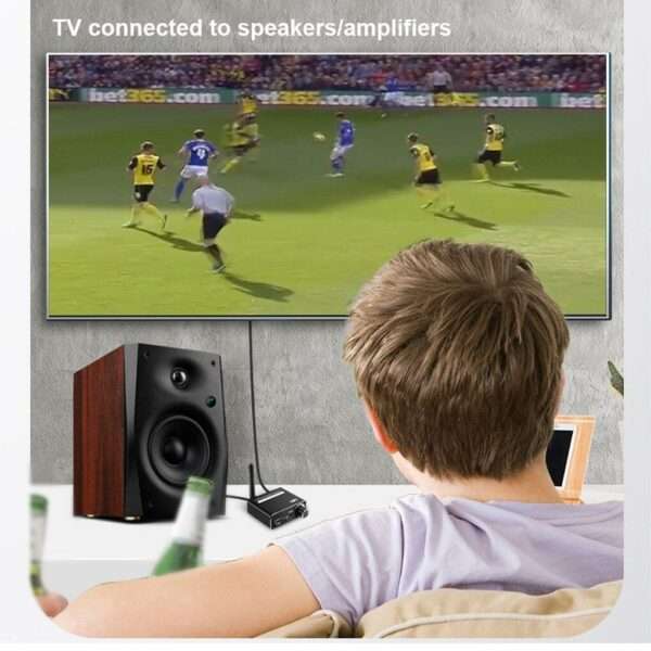 D18 Bluetooth Digital Fiber Coaxial Audio Converter