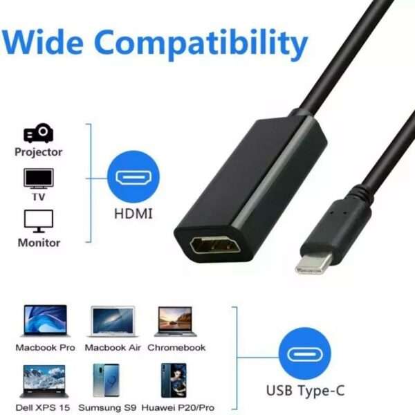 SE-LT25 Type C To HDMI Female Cable