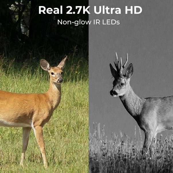 DL4G Rechargeable 4G Sim Card Hunting Trail Camera Ucon App