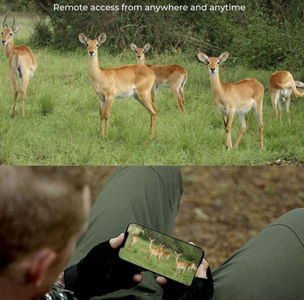 DL4G Rechargeable 4G Sim Card Hunting Trail Camera Ucon App