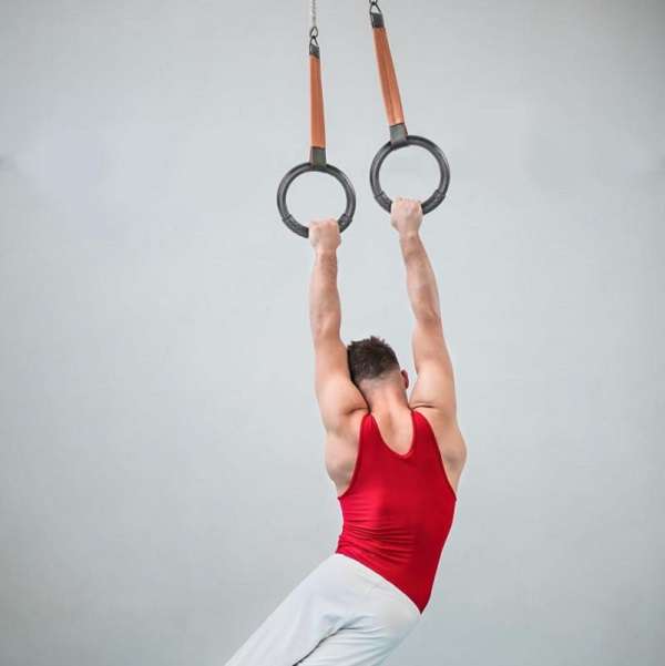 Swelldom Sports World 183683 Sports Fitness Gymnastic Rings