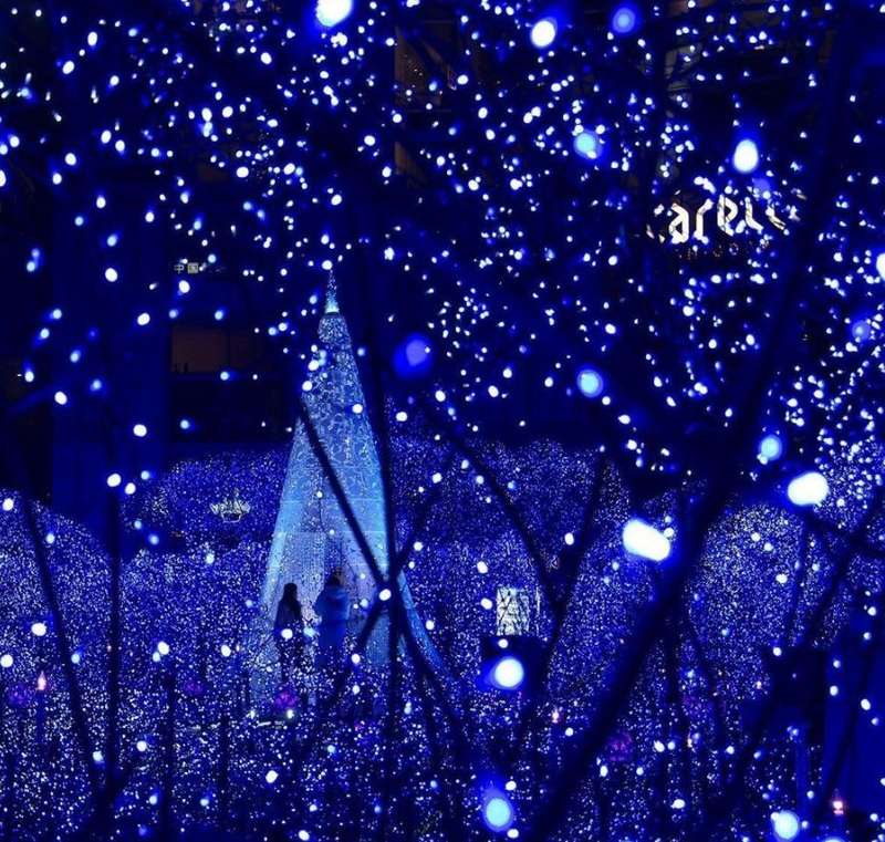 ZYF-143 Black Cable 50M LED Fairy Light Blue With 8 Combination Setting Mode