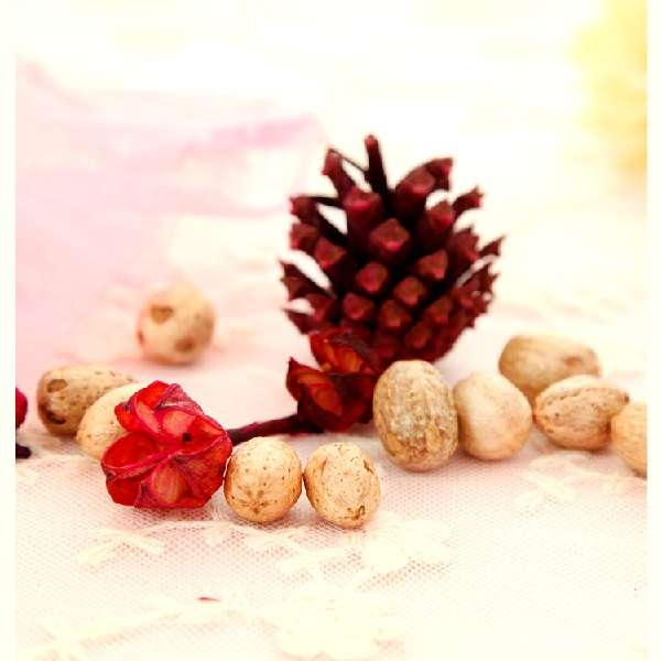 JG20375288 Fresh Smelling Scented Pine Cone Bag