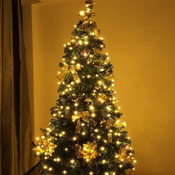ZYF-D147 100M Warm White 9V String Fairy Light On Black Cable With 8 Modes
