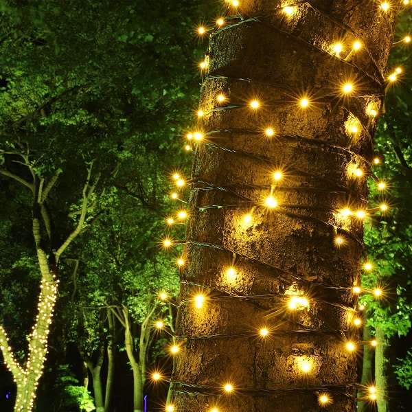 ZYF-D147 100M Warm White 9V String Fairy Light On Black Cable With 8 Modes
