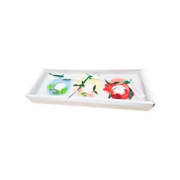 Jiageng JG20375357 Pack Of 3 Home Exquisite Life Aromatherapy Air Freshener