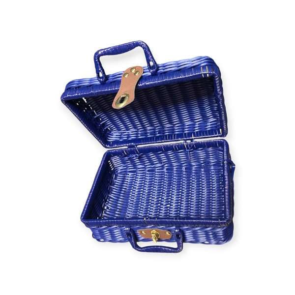 JG20375362 Multicolor Rattan Suitcase For Picnic