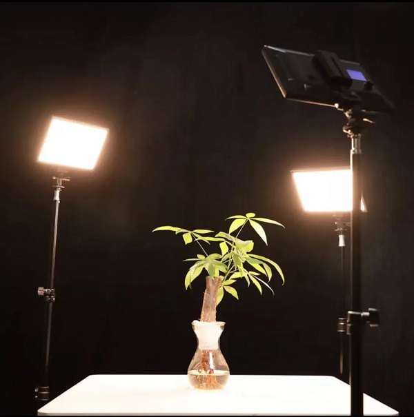 JG20375321 A118 45cm LCD Display Studio Light Photography Lighting With Stand 65W