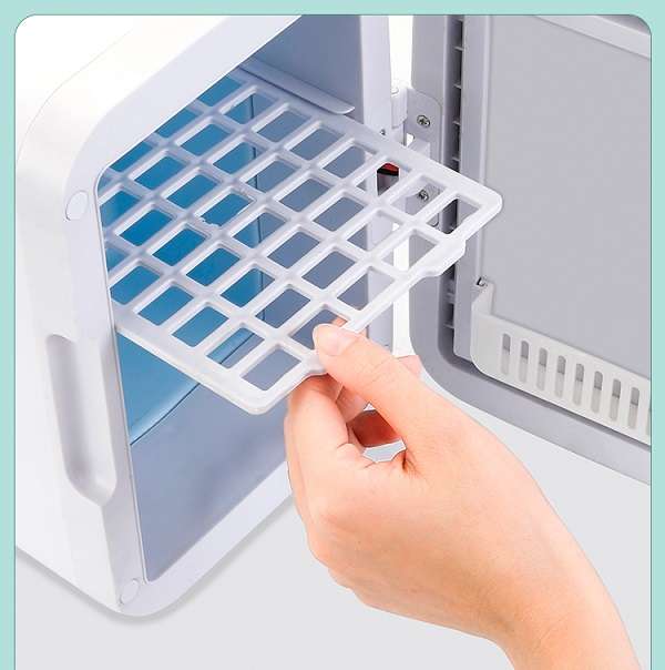 4L Portable Electronic Mini Beauty Fridge With LED Light 75W