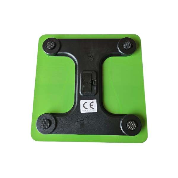 J176 Body Weight Scale