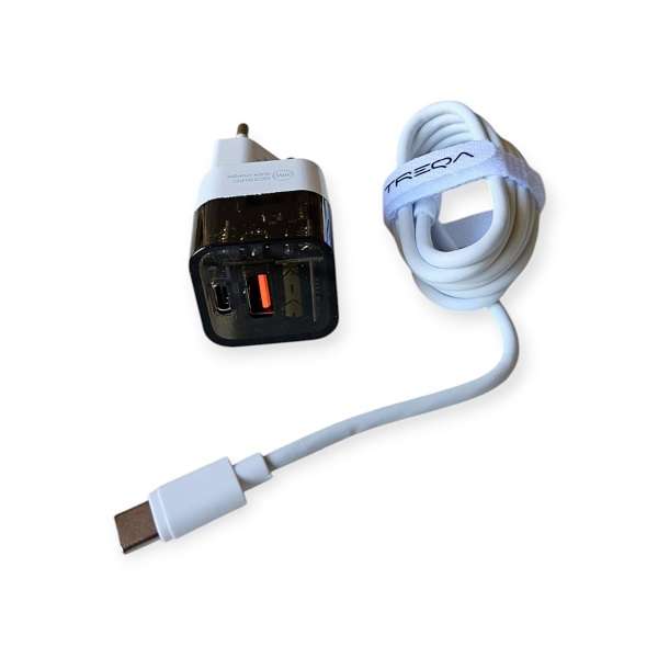 Treqa CS-237 Type C 38W USB + PD Charging Head With Type C To Type C Cable