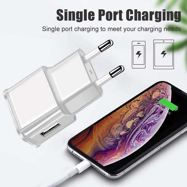 SE-TQ05 1A USB Charger 100 Pieces