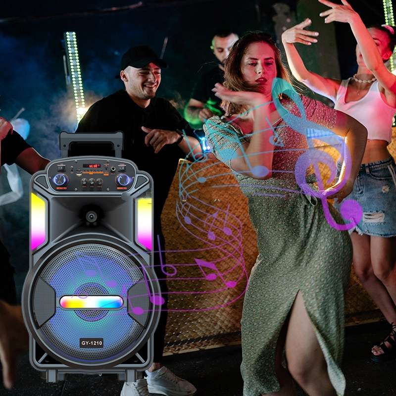 GY-1210 12" Portable Stereo Karaoke Speaker with Single Microphone 60W
