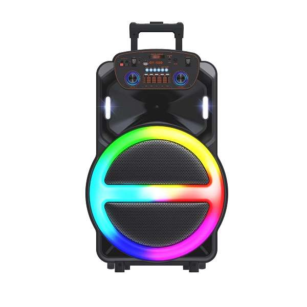 GY-1509 15-Inch Portable Bluetooth Karaoke Speaker with Wireless Microphone