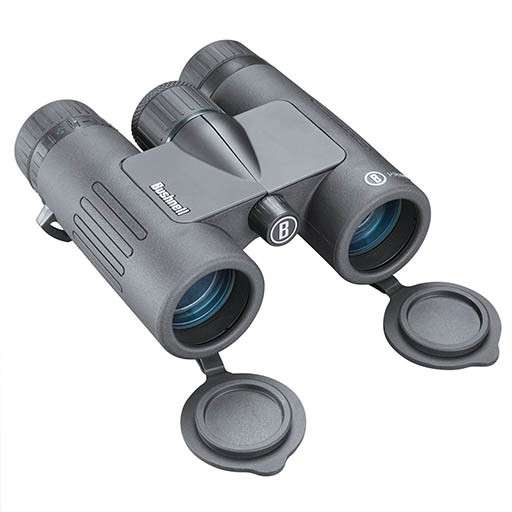 Bushnell PRIME BINOCULARS, 8X32MM