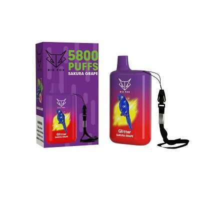 Big Fox Glitter Disposable Pods 5800 puffs 20mg