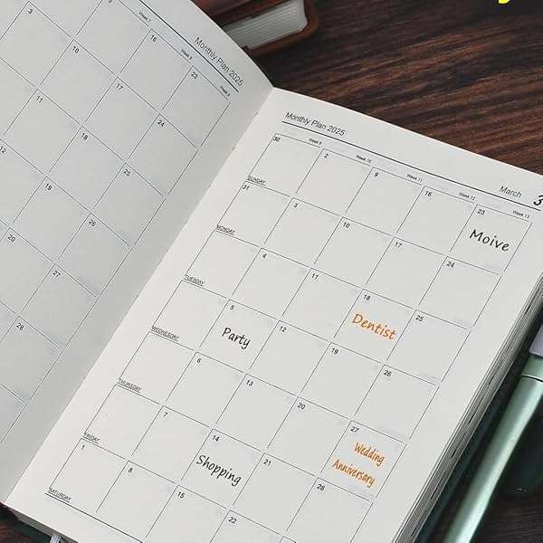 A5 2025 Time Diary Dated Hardcover Faux Leather Daily Journal Planner with 365 Pages 100 GSM Thic...