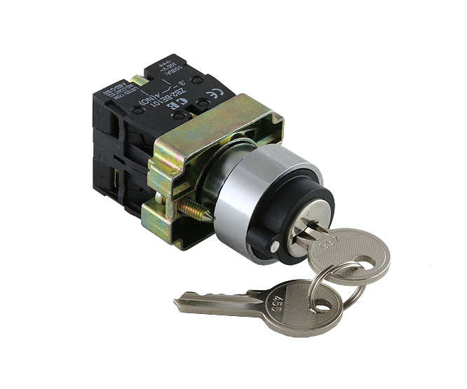 SWITCH KEY 2POS MAINTAINED LEFT N/O N/C PB-ADP2-BG25
