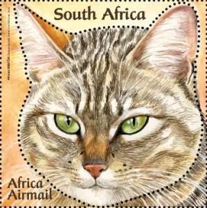 [Small African Cats, type BUE]