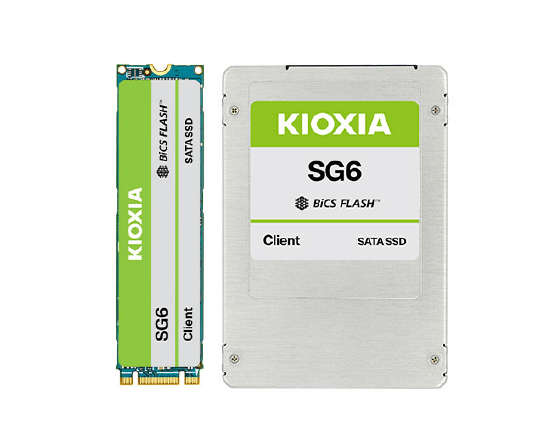 512GB, M.2 2280 (SATA), Toshiba (Kioxia) SG6 Series, High Performance (0.32 DWPD), (584MB/s Rd/Wr),