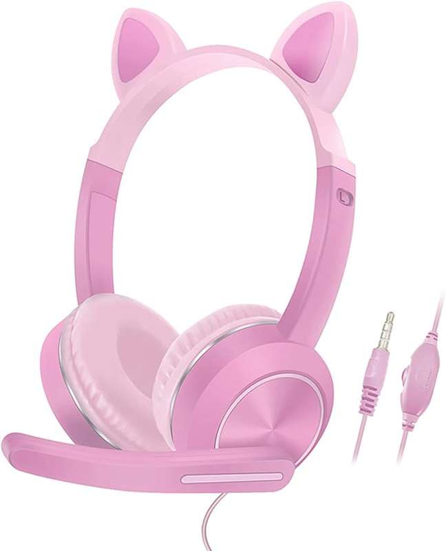 AKZ-024 Wired Headphones