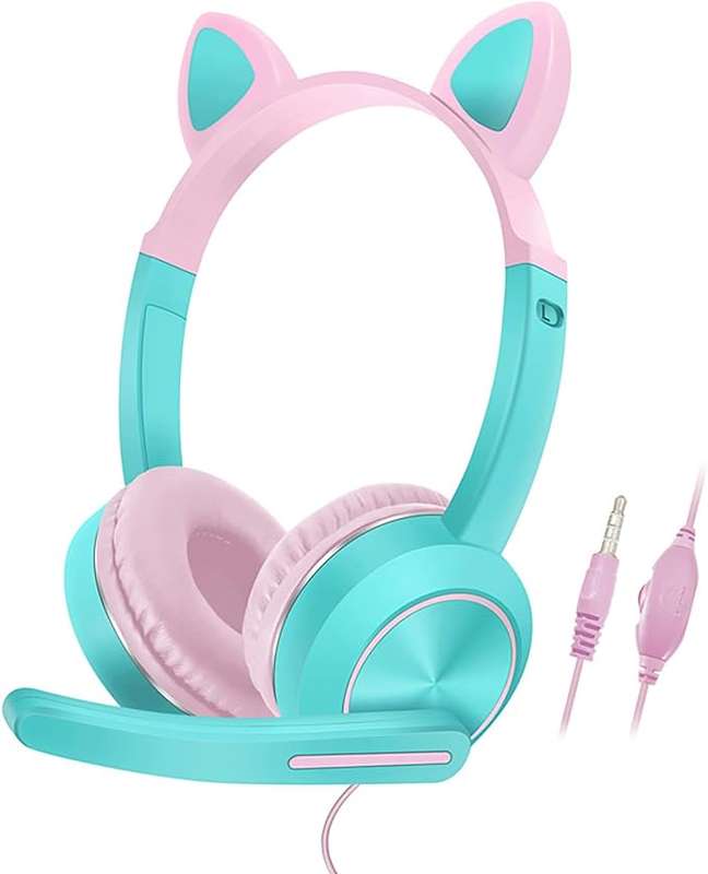 AKZ-024 Wired Headphones