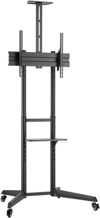 Goobay TV Presentation Stand Pro (Size L) for TVs and monitors between 37" and 70"