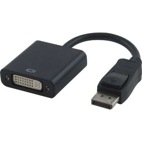 Display Male - DVI Female Adapter