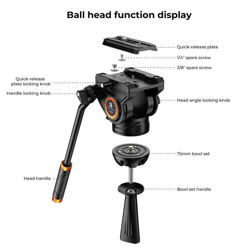 K&F Core-Director Video Tripod with 75mm Bowl and Fluid Head | KF09.121