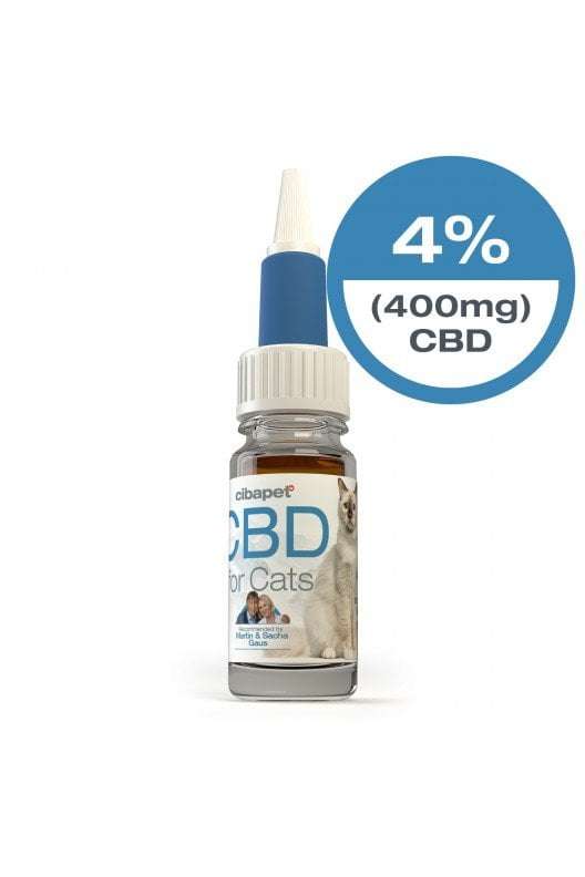 4% CBD Oil For Cats South Africa
