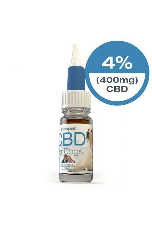 4% CBD Oil For Dogs South Africa