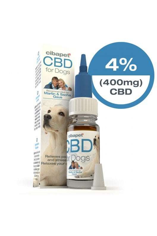 4% CBD Oil For Dogs South Africa