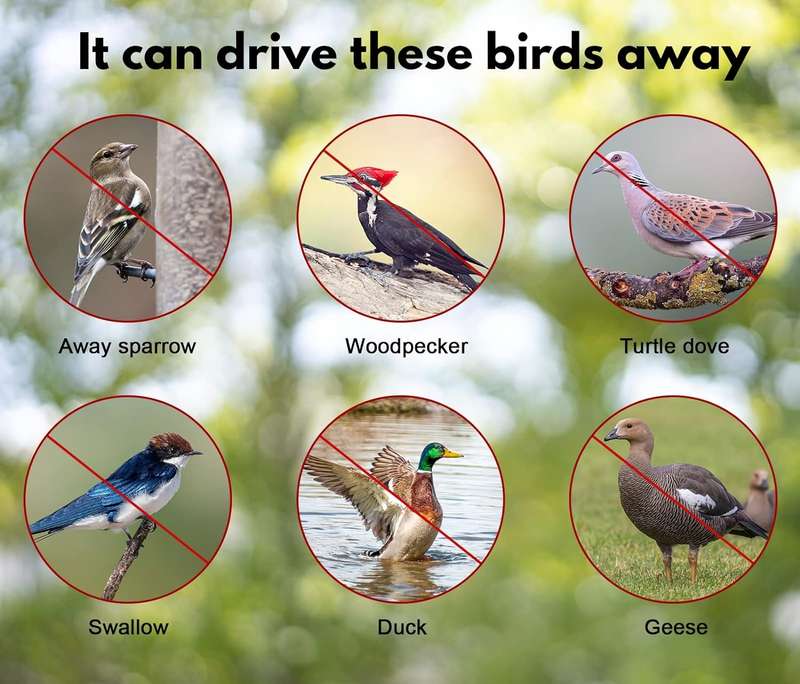 Bird Deterrent Reflective Tape