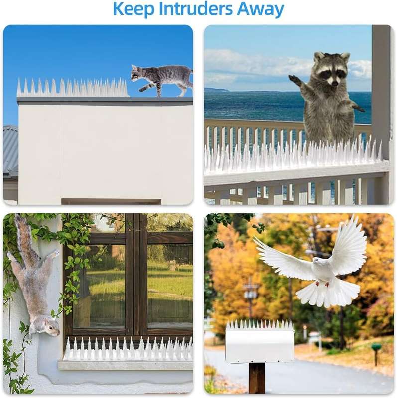 Bird and Pest Spikes - Set of 12 - Clear