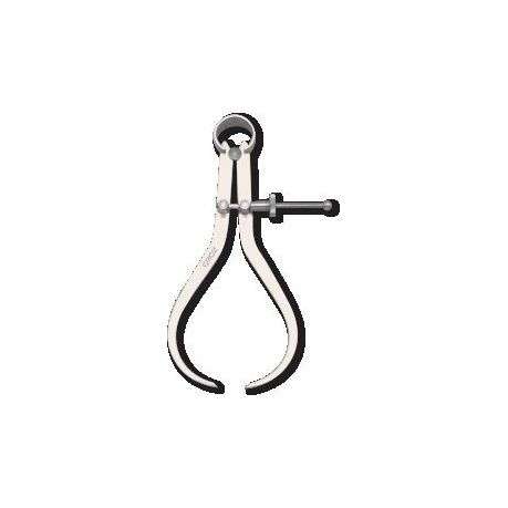 Caliper Gr Spring O|s 300mm Od|12