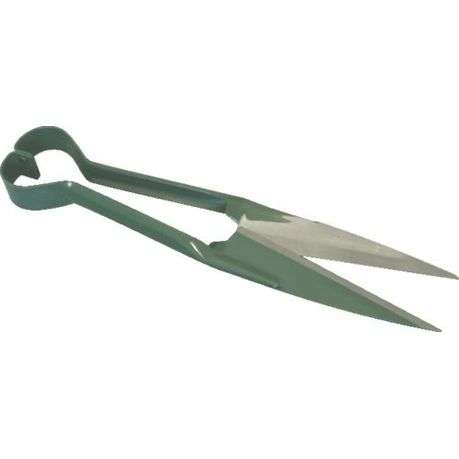 Shear Mts Sheep 60126