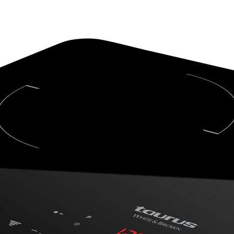 Taurus Induction Cooker Double "Darkfire Double"