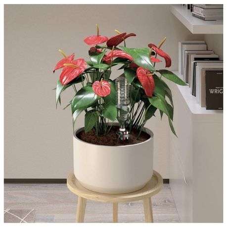 Claber - Idris Sprinkler Head (Automatic) for Potted Plants