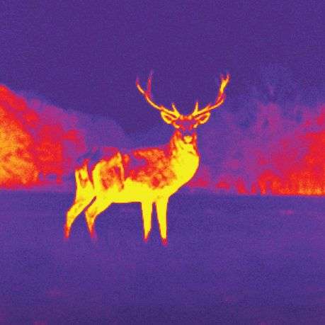 Seek Thermal  CompactXR  Thermal Image Camera  Black(Android)