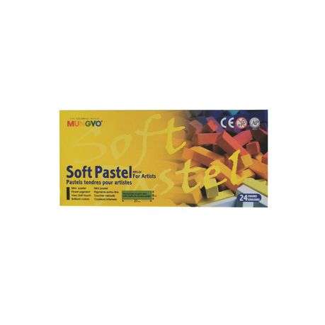 Mungyo Professional Soft Pastel Set of 24