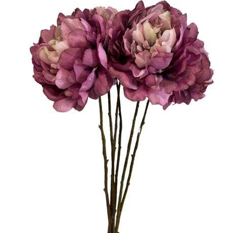 Toolhome Blossoms - Peonies - Plum (Pack of 6 Stems)- 59cm