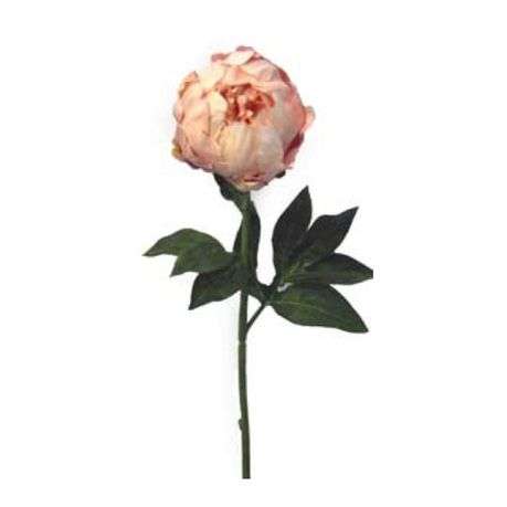 Toolhome Blossoms - Closed Peony - Light Pink (Pack of 6 Stems) - 47cm