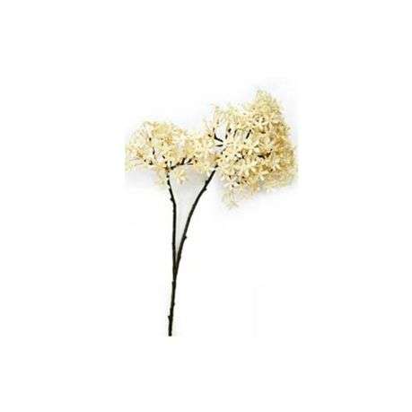Toolhome Blossoms - Crown Cream - Pack of 12 Stems - 81cm